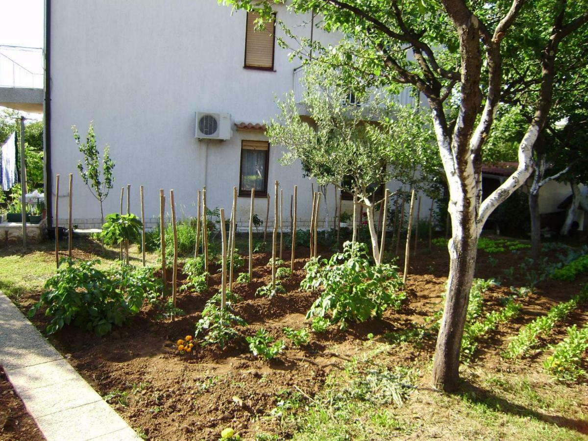 Apartment Carmen Čavle Екстериор снимка